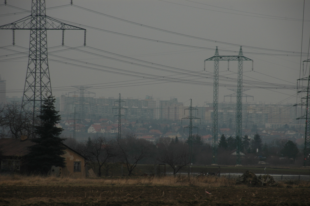 DSC_6593.JPG