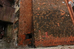 DSC_6437.JPG