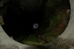 DSC_6447.JPG