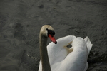 DSC_6473.JPG