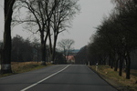 DSC_6506.JPG