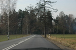 DSC_6511.JPG