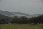 DSC_6576.JPG