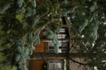 DSC_6597.JPG