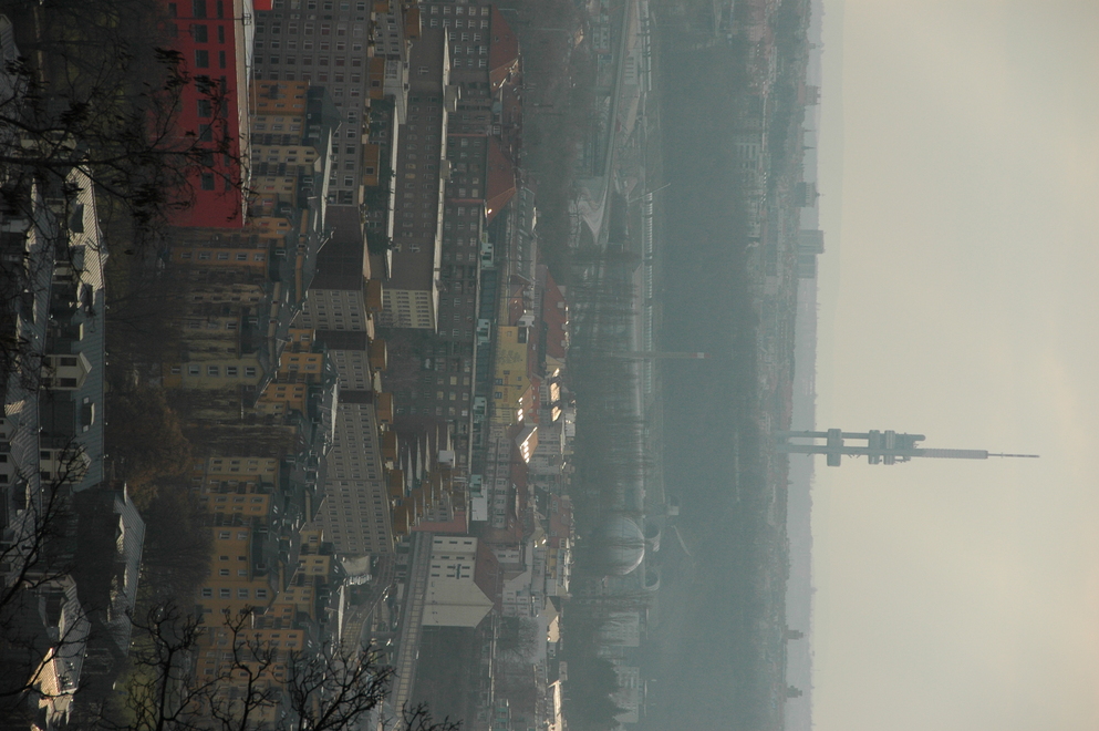 DSC_6628.JPG