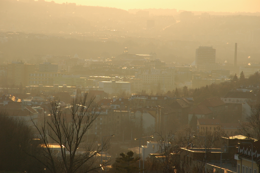DSC_6667.JPG