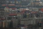 DSC_6634.JPG