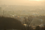DSC_6664.JPG