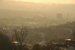 DSC_6667.JPG