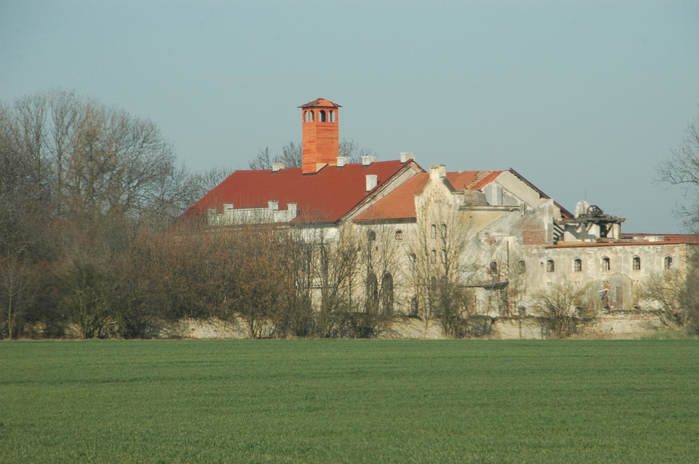 DSC_6679.JPG