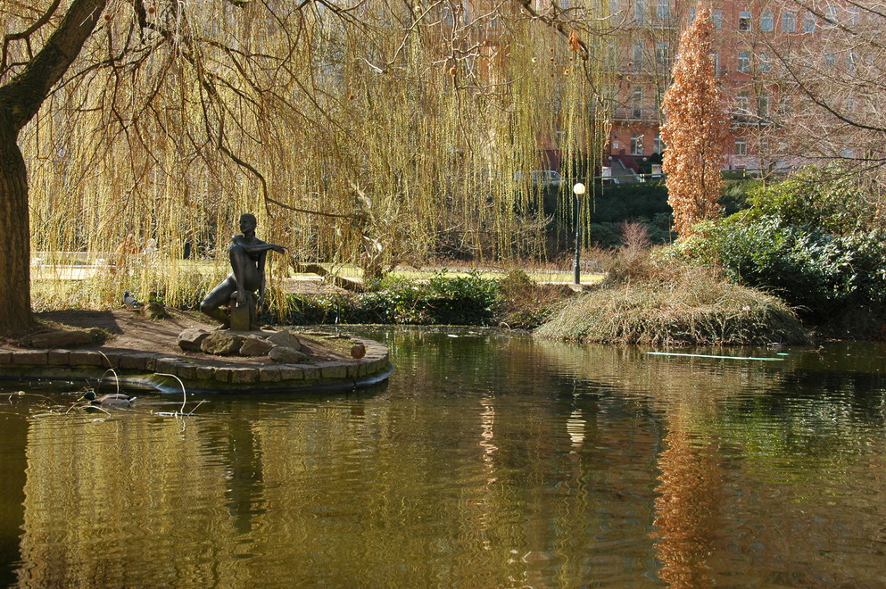 DSC_6703.JPG