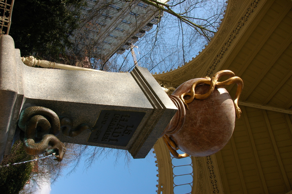 DSC_6707.JPG