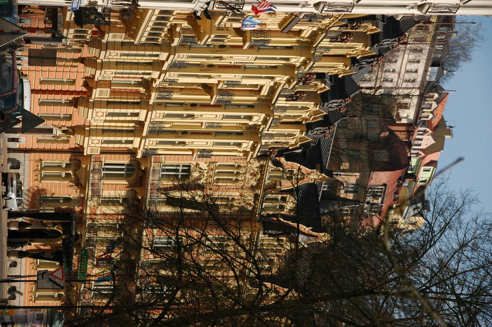 DSC_6732.JPG