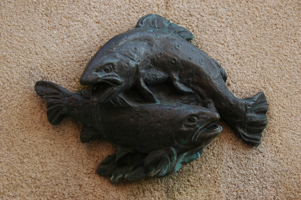 DSC_6753.JPG